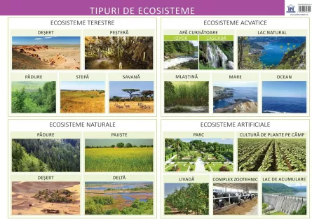 Tipuri de ecosisteme, [],edituradph.ro