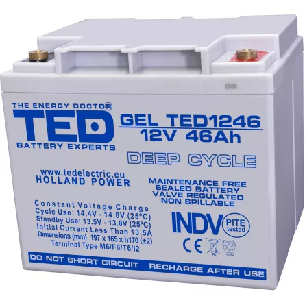 Acumulator 12V GEL Deep Cycle, Dimensiuni 197 x 166 x 171 mm, Baterie 12V 46Ah M6, TED Electric TED003454