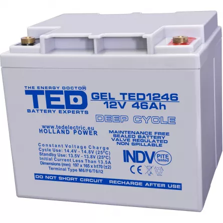 Acumulator 12V GEL Deep Cycle, Dimensiuni 197 x 166 x 171 mm, Baterie 12V 46Ah M6, TED Electric TED003454