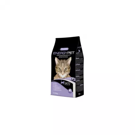 EnergyPet Hr. Uscata pentru pisica 2kg, [],https:shop.interpet.ro