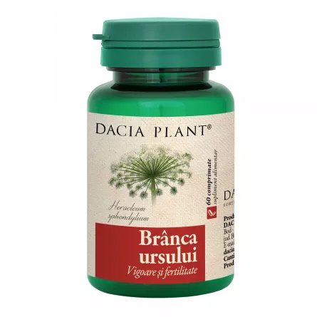 Branca Ursului, 60 comprimate, Dacia Plant, [],ivonafarm.ro