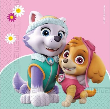 Paw patrol skye shop everest set