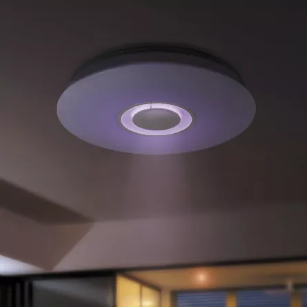 Aplica LED Murry, putere 24 W, Rabalux 4541