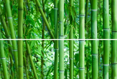 Decor faianta 2 x 25 x 75 cm, Bamboo Glass Inserto