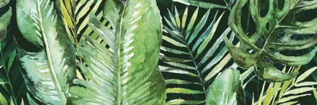 Decor pentru faianta, Braga Tropic A Inserto, dimensiuni 25 x 75 cm
