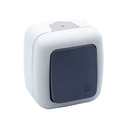 Intrerupator revenire aplicat gri IP54