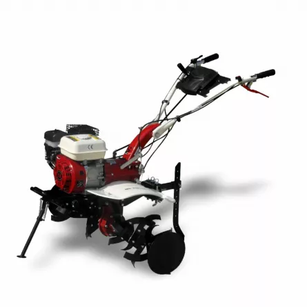 Motosapa Media Line MS7100/5CF