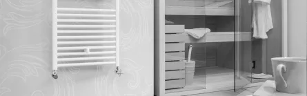 Radiator Scala Cool 450X860