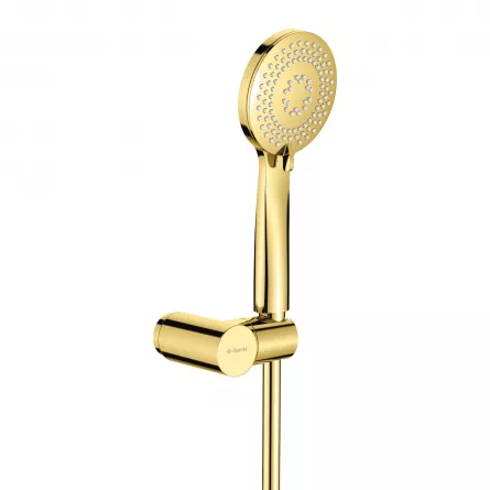 Set de dus, Deante, model Arnika Gold NQA_Z41K