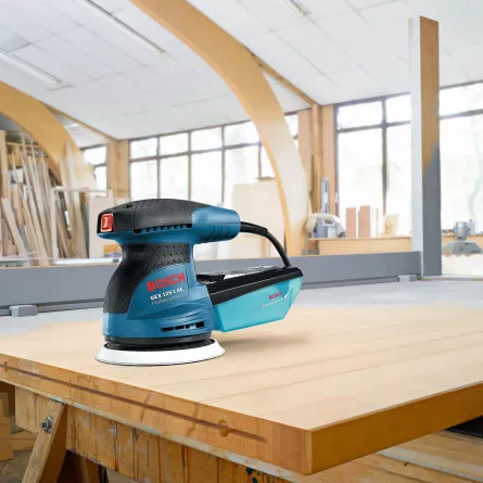 Slefuitor cu excentric Bosch Professional GEX 125-1 AE, 250 W