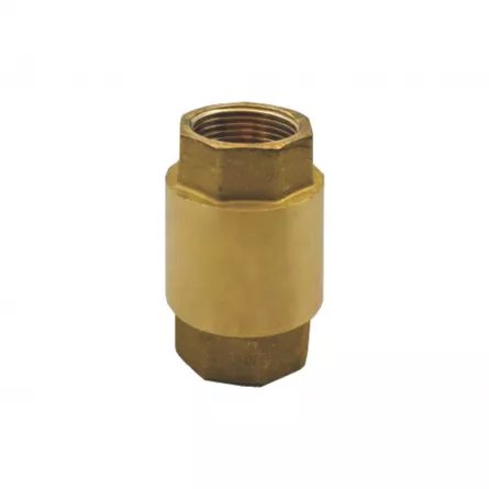 Supapa de retinere, 1/2 &ldquo;, material alama