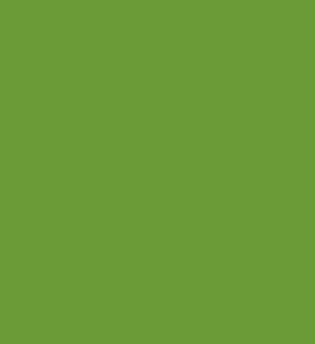 Vopsea alchidica, pentru lemn / metal / zidarie, interior/ exterior, Kober Ideea, verde deschis 0.75 L