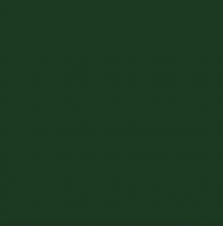 Vopsea alchidica, pentru lemn / metal / zidarie, interior/ exterior, Kober Ideea, verde med 4 L