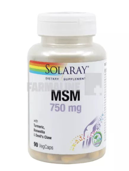 MSM 750 mg  90 capsule