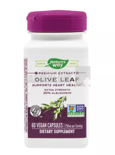 Olive Leaf (Frunze maslin) 60 capsule