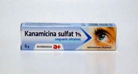 Kanamicina Sulfat 1 X 1 Ung Oft 1 Antibiotice Sa Pret 15 50 Lei