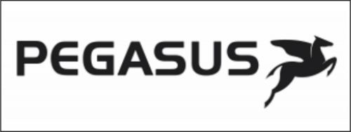 PEGASUS PEGASUS