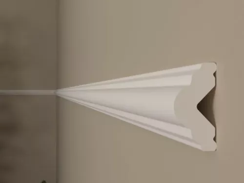 BRAU POLIMER DUR CHP2040 20X40MM 2ML