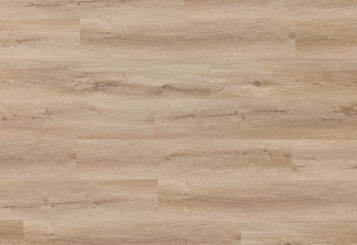 PARDOSEALA SPC AFIRMAX LEGNAR CLE 41842 SHERMAN OAK