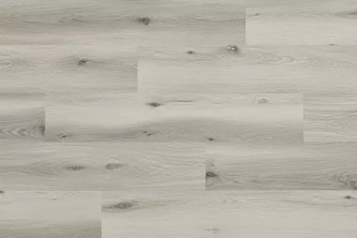 PARDOSEALA SPC ARBITON WOODRIC EIR CWS202 STEJAR BALTIMORE 4mm/0.55 mm
