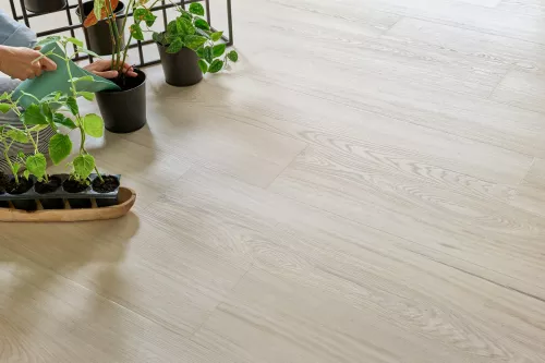 PARDOSEALA SPC ARBITON WOODRIC EIR CWS204 STEJAR ELDBORG 4mm/0.55 mm