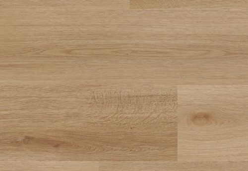 PARDOSEALA SPC BICLICK AFIRMAX CBC 41582 MONUMENT OAK