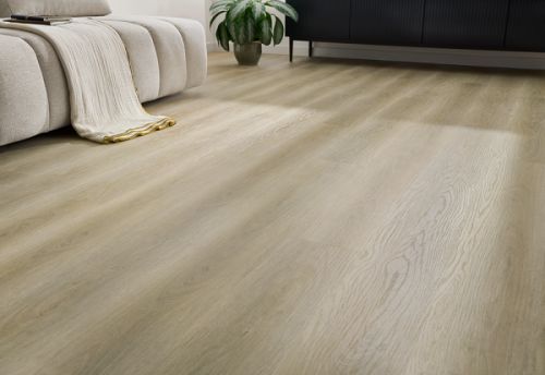 PARDOSEALA SPC BICLICK AFIRMAX CBC 42402 PROVIDENCE OAK