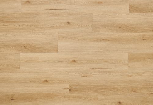 PARDOSEALA SPC AFIRMAX LEGNAR CLE 41532 ARVADA OAK