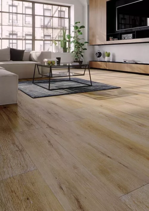 PARDOSEALA SPC ARBITON AMARON CA114 WILIAMSBURG OAK