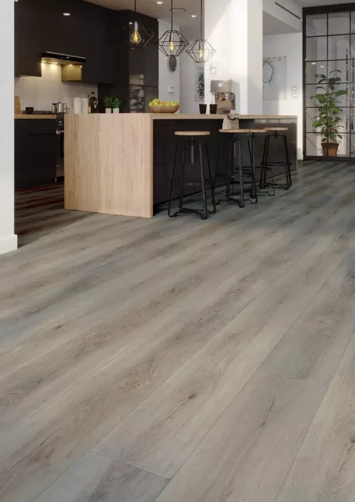 PARDOSEALA SPC ARBITON AMARON CA115 OREGON OAK