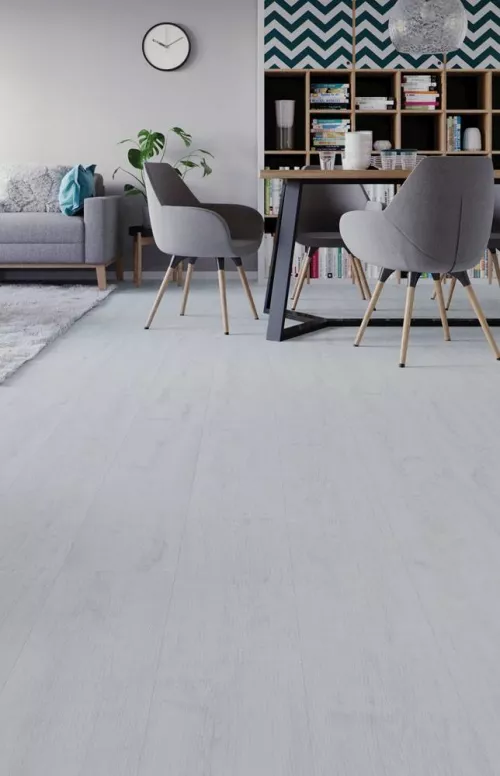 PARDOSEALA SPC ARBITON LIBERAL CL101 SAPPORO OAK