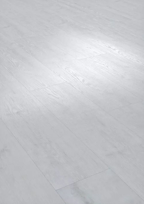 PARDOSEALA SPC ARBITON LIBERAL CL101 SAPPORO OAK