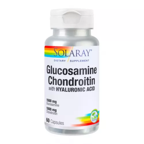 Glucosamine,Chondroitin,HyaluronAc 60cps (Secom)