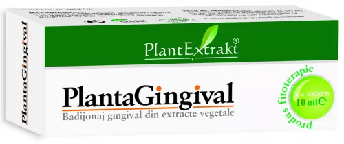 Plantagingival, 10 ml, PlantExtrakt