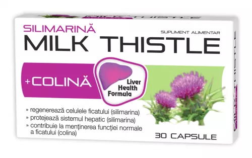 Silimarina + Colina Milk Thistle 1000mg, 30 capsule, Zdrovit