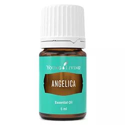 Ulei esential angelica, 5ml, Young Living