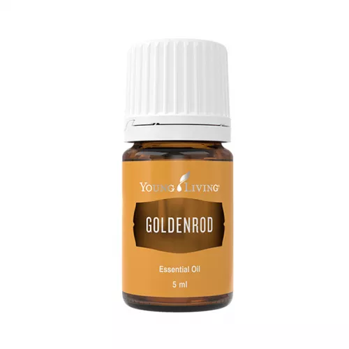 Ulei esential Goldenrod, 5ml, Young Living