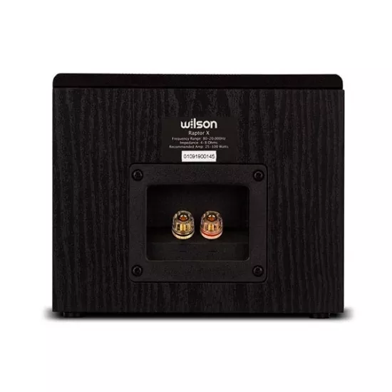 Boxe surround / perete - Boxe surround / perete Wilson Raptor X Black, audioclub.ro