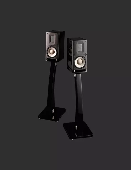 Boxe Raidho Acoustics XT-1
