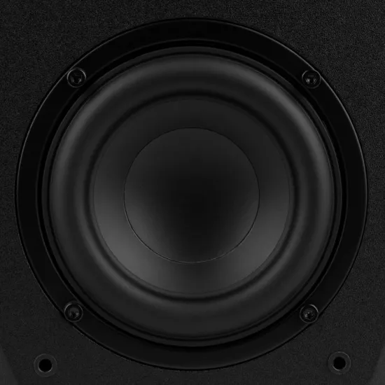 Boxe de raft Dayton Audio MK402X Black