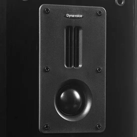 Boxe raft / desktop - Boxe de raft Dynavoice Definition DM-6 Negru, audioclub.ro