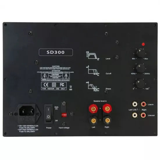 Module subwoofer - Modul amplificator Yung International SD300, audioclub.ro