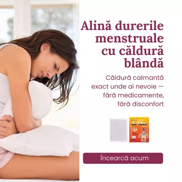 Plasture menstrual - 5 bucăți