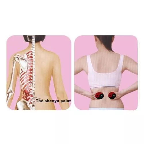 ﻿Plasture detoxifiant/echilibrant pentru rinichi Set 42 bucăți