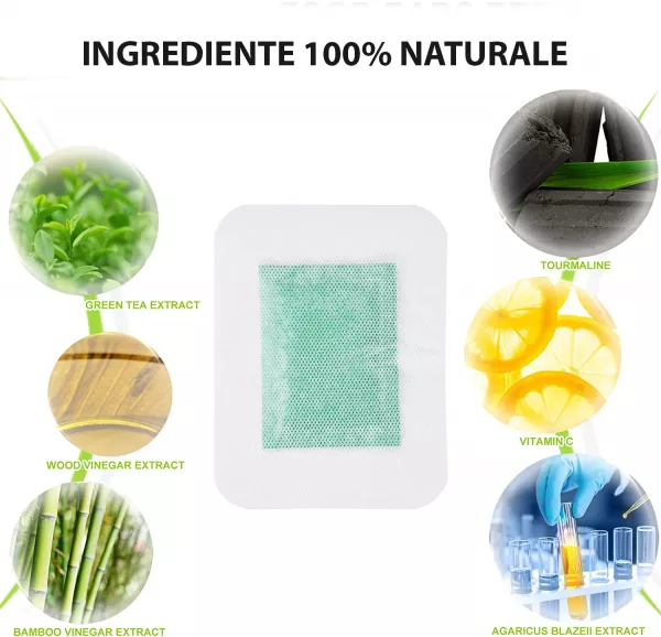 Plasturi Detoxifiere Green Tea 40 bucăţi, 4 Cutii (3683)