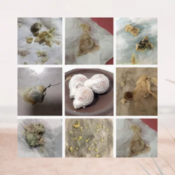 Tampon Intim Detoxifiant – 6 bucăți