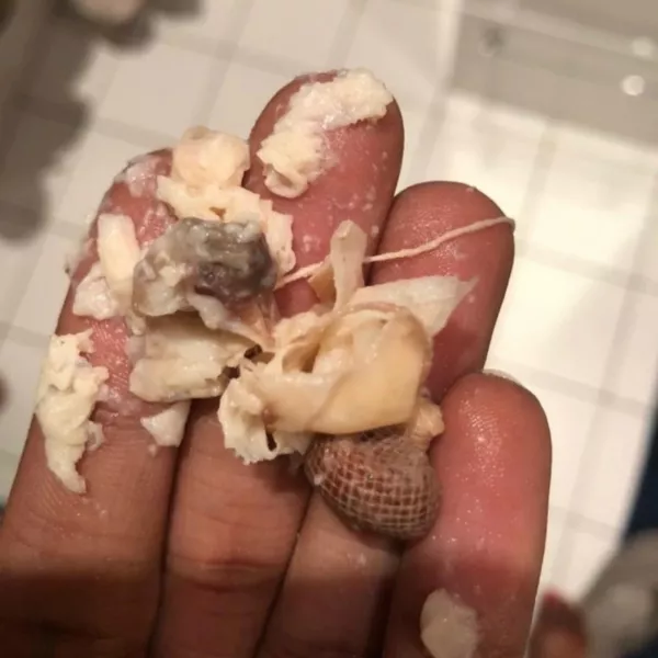 ﻿Tampon Intim Detoxifiant 6 bucăți
