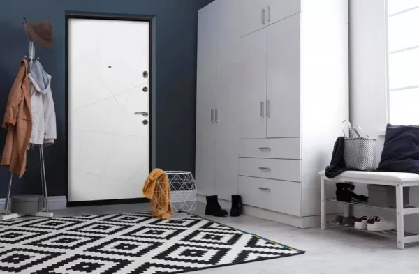 Cum alegi o usa pentru intrarea in apartament versatila si moderna? Aici am enumerat criteriile