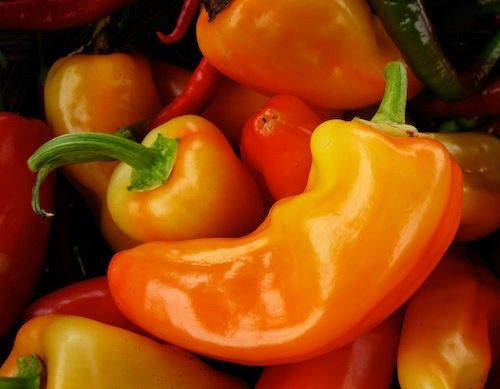 Seminte Seminte Jalapeno Orange 38700 Foarteiute Ro