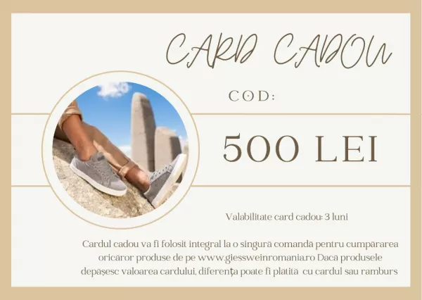 Card Cadou 500 Lei 10002.html